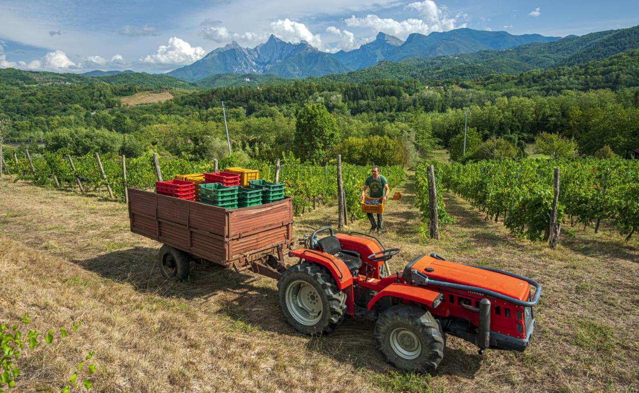 Agriturismo Il Bardellino Fivizzano Exterior foto