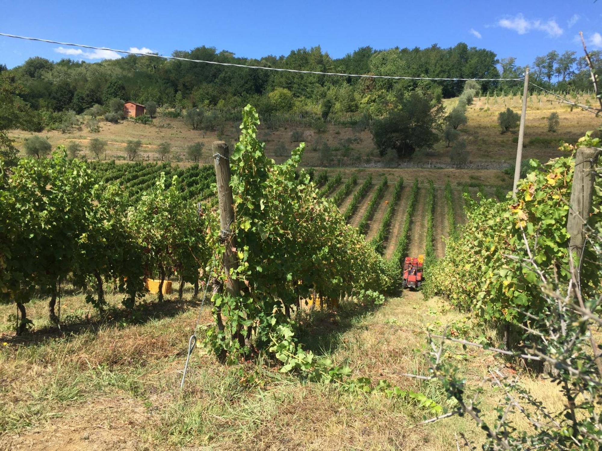 Agriturismo Il Bardellino Fivizzano Exterior foto