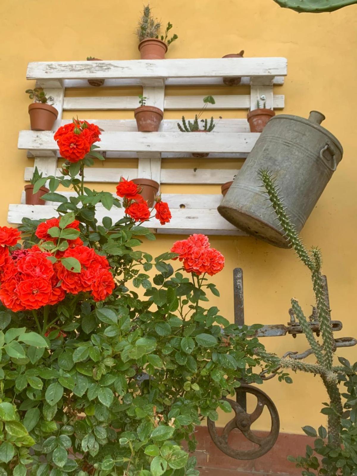 Agriturismo Il Bardellino Fivizzano Exterior foto